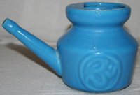 Lota neti